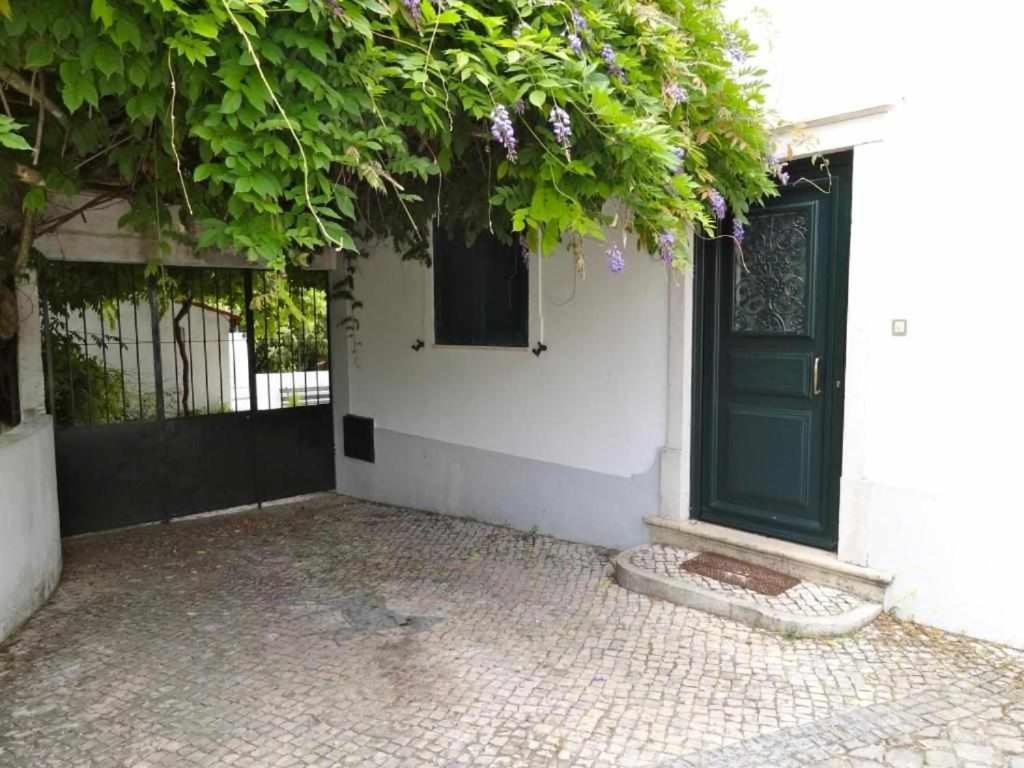 Casa Dos Pocinhos Ferias Tranquilas No Campo 토레스노봐스 외부 사진