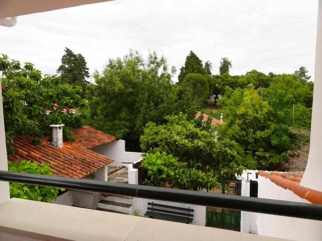 Casa Dos Pocinhos Ferias Tranquilas No Campo 토레스노봐스 외부 사진